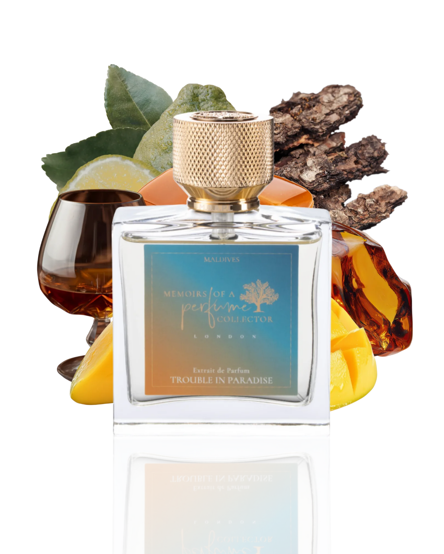 Memoirs of a Perfume Collector Trouble in Paradise