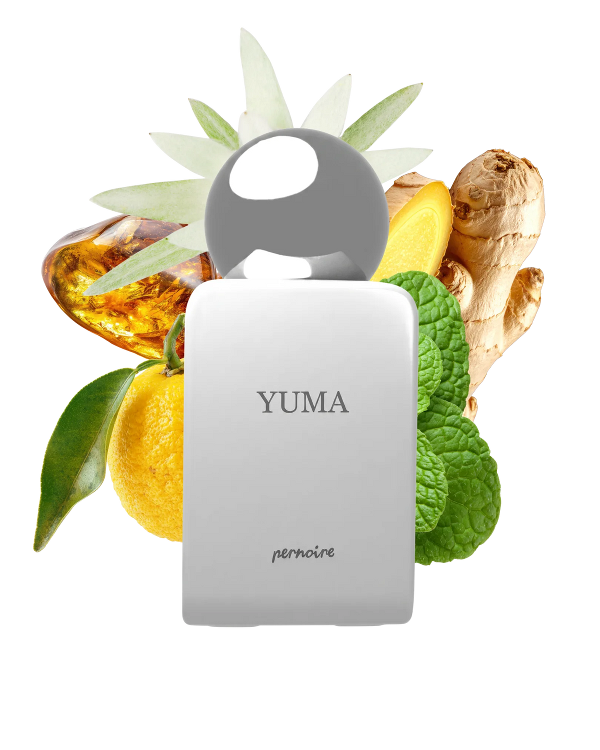 Pernoire Yuma